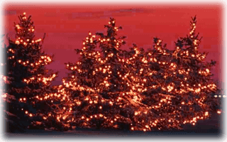 Julbilder i Rävlanda